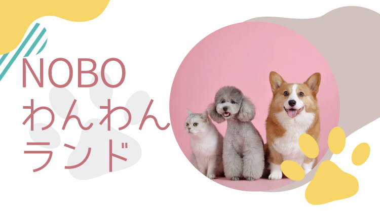 カワイイがいっぱい！ワンダーランド